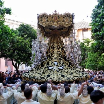 Así te hemos contado el Domingo de Ramos en Málaga 2026, en directo: jornada completa con todas las cofradías en la calle Así te hemos contado el Domingo de Ramos en Málaga 2026, en directo: jornada completa con todas las cofradías en la calle