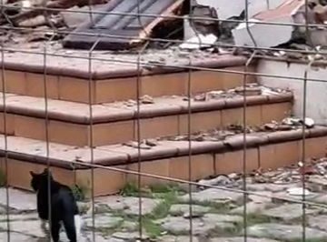 Un juzgado investigará un posible caso de maltrato animal por las obras del futuro Virgen de la Esperanza