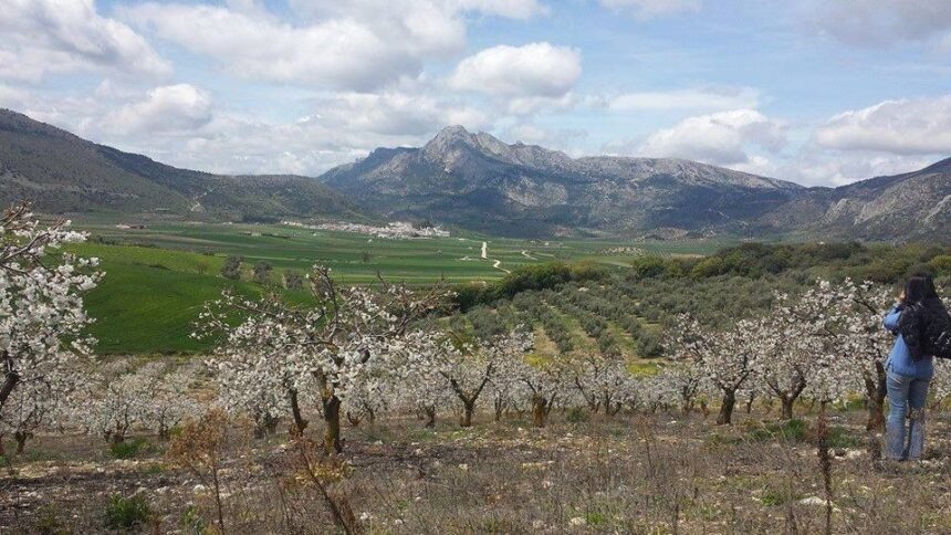 Un intento de agresión en Zafarraya alerta a la Axarquía ante la posible huida del autor a municipios cercanos