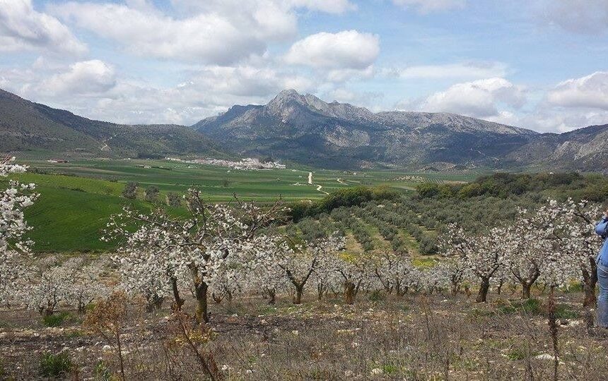 Un intento de agresión en Zafarraya alerta a la Axarquía ante la posible huida del autor a municipios cercanos