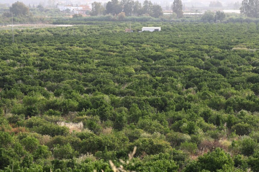 El Supremo ‘entierra’ el proyecto de la gran depuradora de Málaga en la Vega de Mestanza