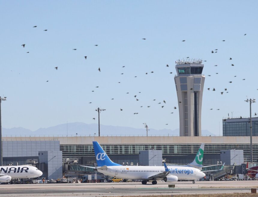 El aeropuerto de Málaga alcanza por primera vez los 7,7 millones de pasajeros hasta abril, aupado por el corte del AVE