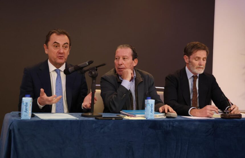 La causa contra el administrador judicial del Málaga CF por el caso Grupo Vera sigue adelante