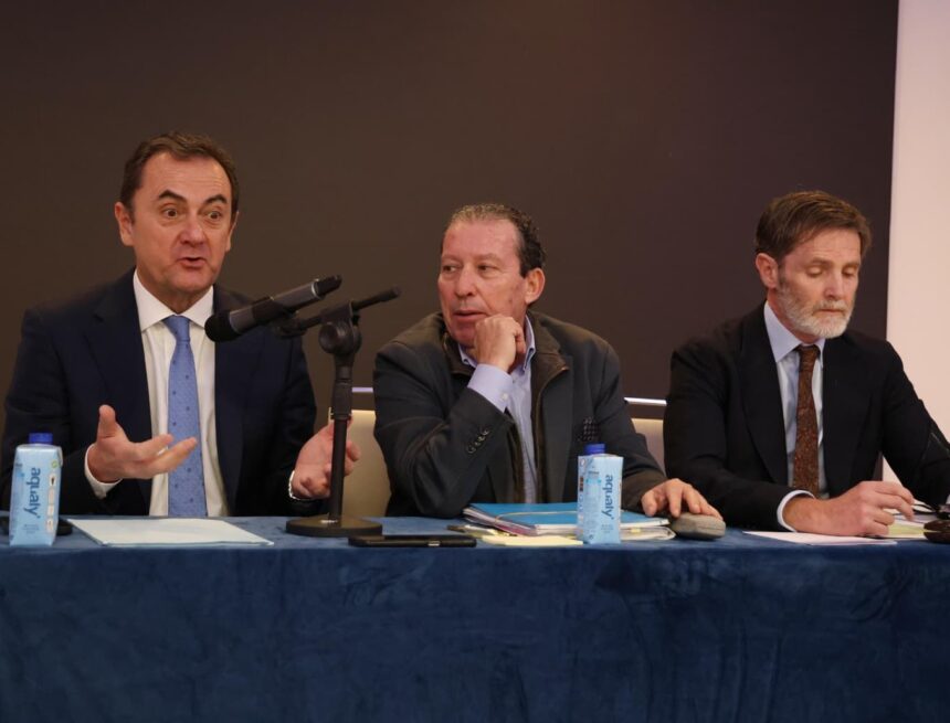 La causa contra el administrador judicial del Málaga CF por el caso Grupo Vera sigue adelante