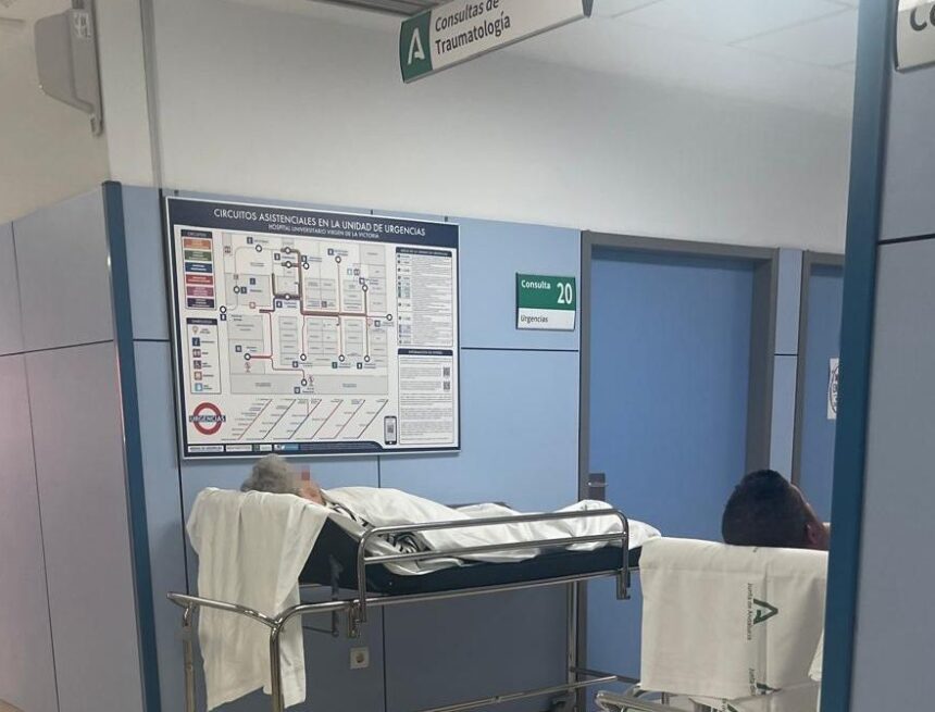 Llamamiento "desesperado" del personal del Clínico de Málaga por el "colapso" de las Urgencias Llamamiento «desesperado» del personal del Clínico de Málaga por el «colapso» de las Urgencias