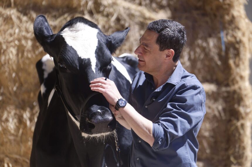 Elecciones en Andalucía 2026, en directo | Último arreón de la campaña electoral