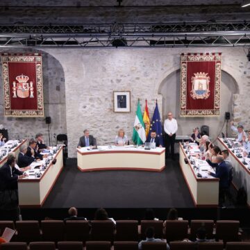 El PP apoya en Marbella una moción de Vox para buscar soluciones a las viviendas ilegales