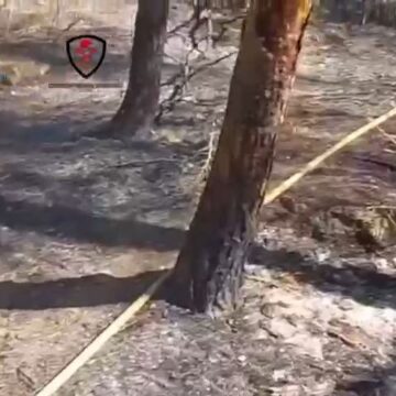 El Infoca da por extinguido un incendio forestal declarado en Pizarra