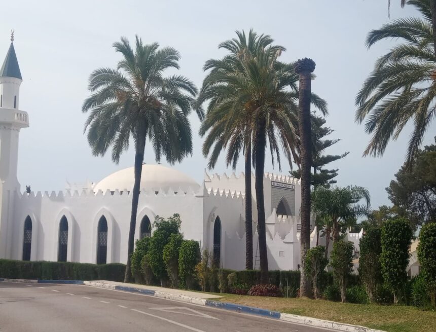 Marbella tramita el proyecto de reparcelación de la finca 'Al Riyadh', de la familia real saudí Marbella tramita el proyecto de reparcelación de la finca ‘Al Riyadh’, de la familia real saudí