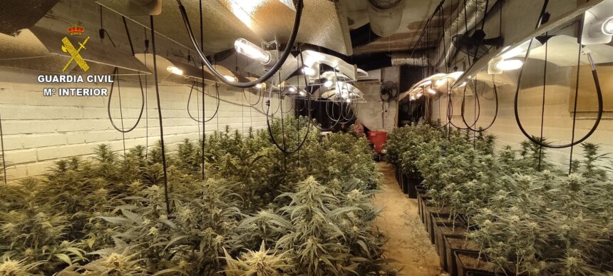 Endesa localiza 29 plantaciones de marihuana en Málaga con un consumo eléctrico equivalente al de 10.000 hogares
