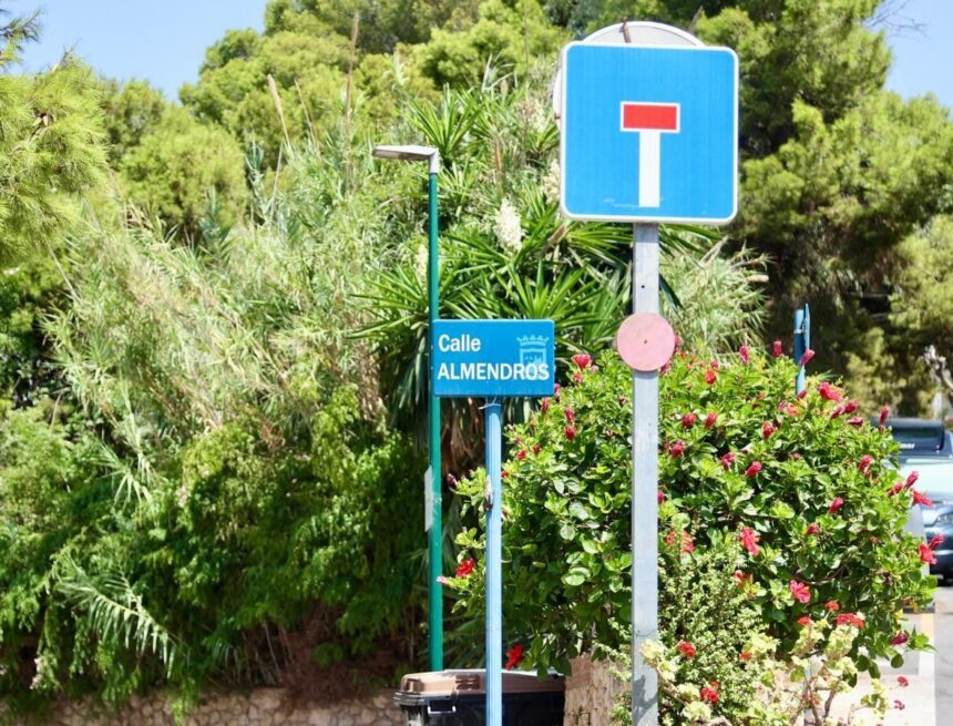 La Policía descarta la participación de terceros en la muerte del joven hallado en una piscina de El Palo