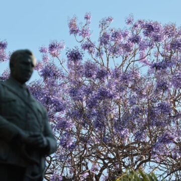 Carretera de Cádiz y Cruz del Humilladero: barrios de Málaga con mayor brecha climática por su renta