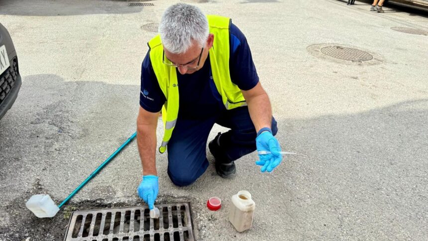 Salud declara a Cártama en alerta durante un mes por el virus del Nilo tras una muestra positiva