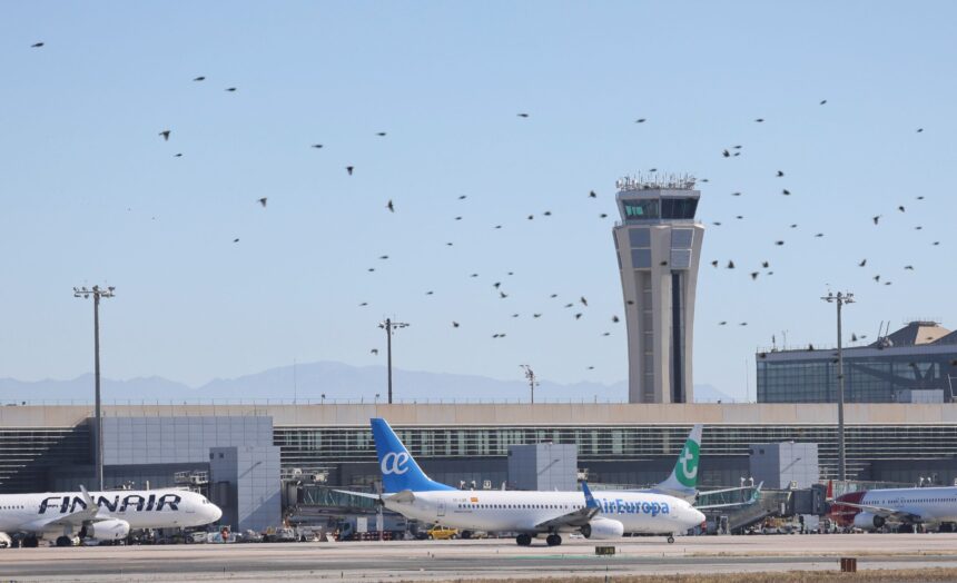 La proximidad de un dron con el aeropuerto de Málaga obliga a desviar vuelos este domingo