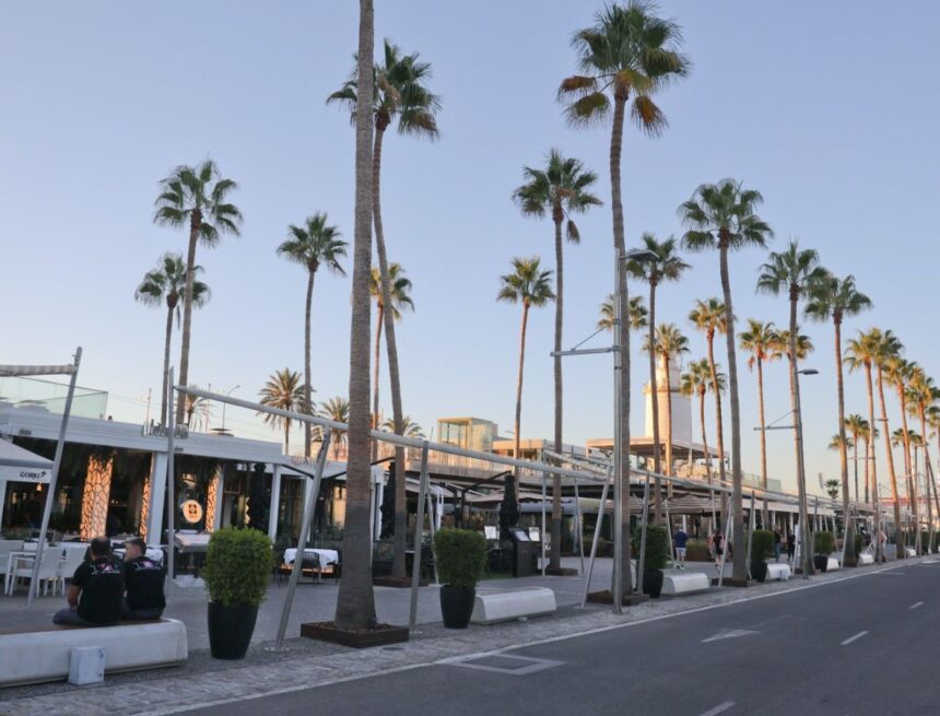 Un nuevo ajuste de cuentas entre narcos, detrás del tiroteo con un herido de bala en Muelle Uno, en Málaga Un nuevo ajuste de cuentas entre narcos, detrás del tiroteo con un herido de bala en Muelle Uno, en Málaga