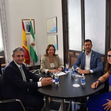 Una subestación eléctrica para ampliar la red en la Costa del Sol obtiene licencia de obras Una subestación eléctrica para ampliar la red en la Costa del Sol obtiene licencia de obras