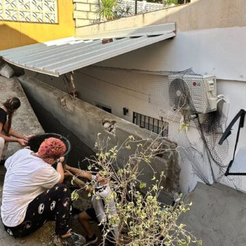«Si llegamos a estar dormidas habríamos muerto ahogadas»: el derrumbe de un muro destroza la casa de una familia en El Palo